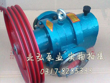 LCW保溫羅茨泵